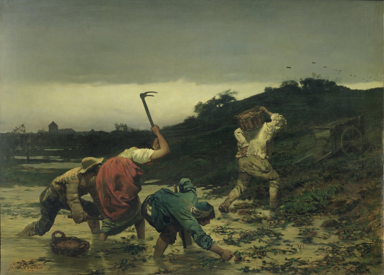 Bönder som skördar potatis under floden i Rhen 1852 av Gustave Brion