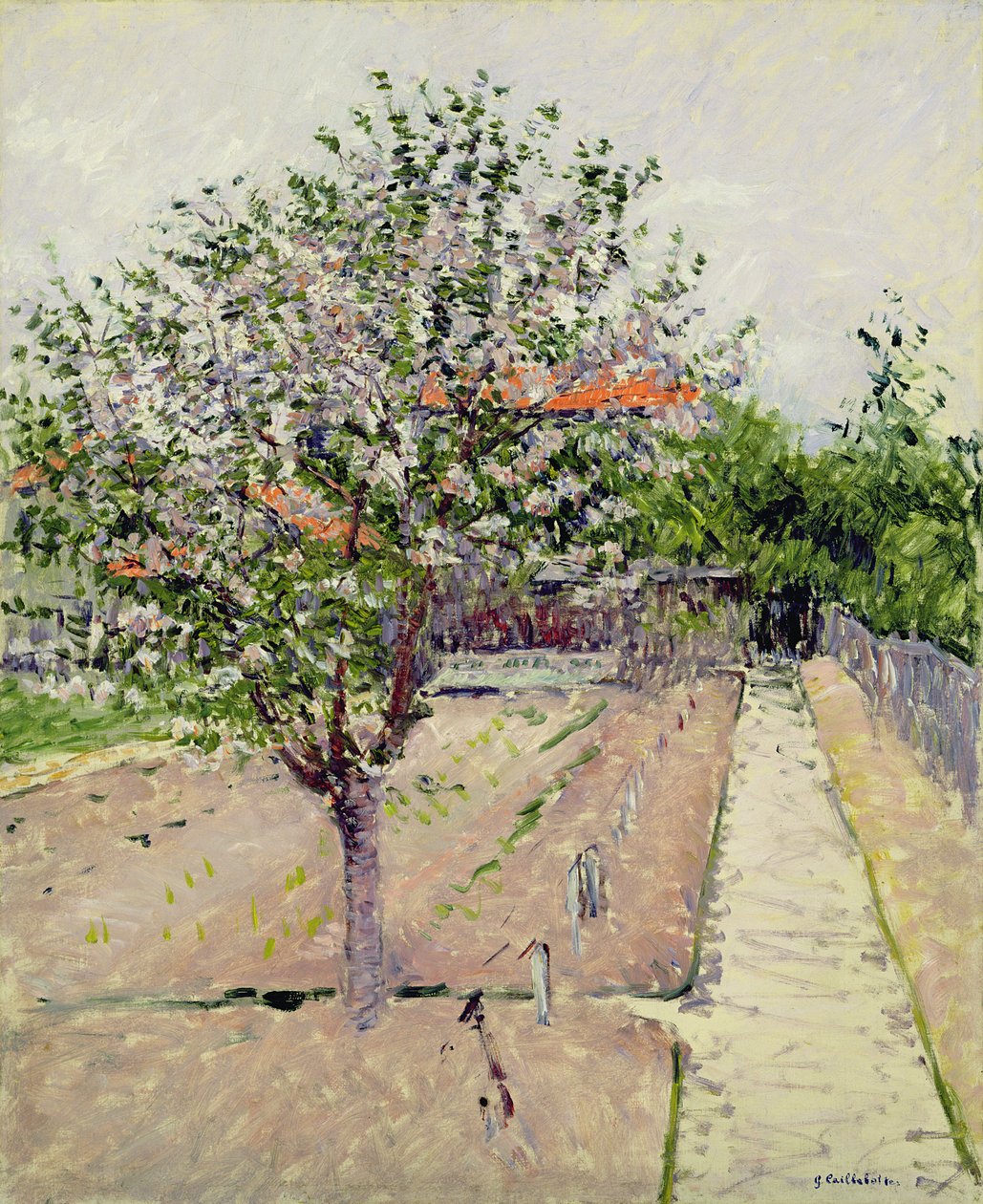 Äppelträd i blom, ca 1885 av Gustave Caillebotte