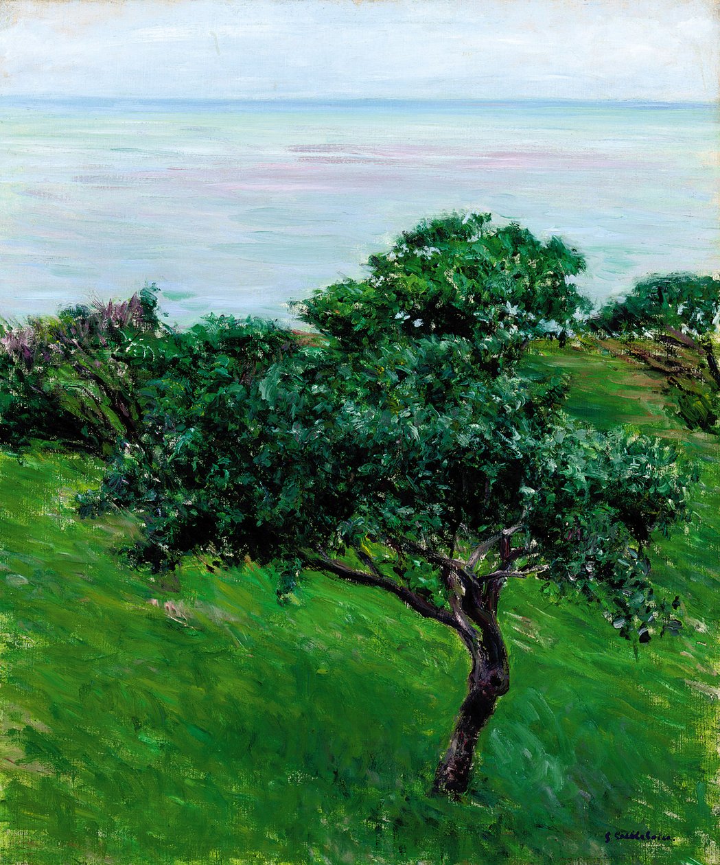 Äppelträd vid havet, Trouville, 1880 av Gustave Caillebotte