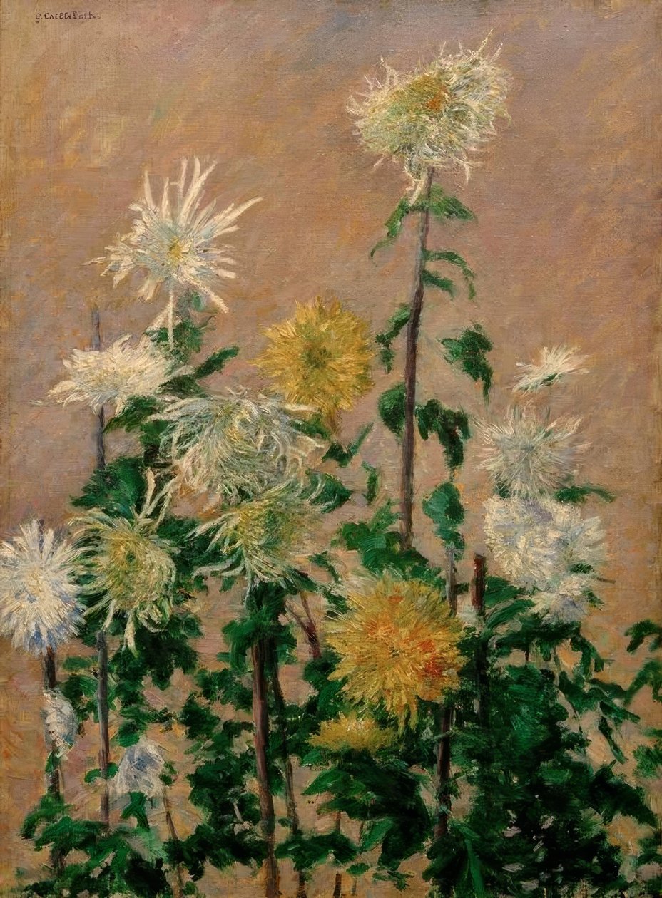 Vita och gula krysantemum av Gustave Caillebotte