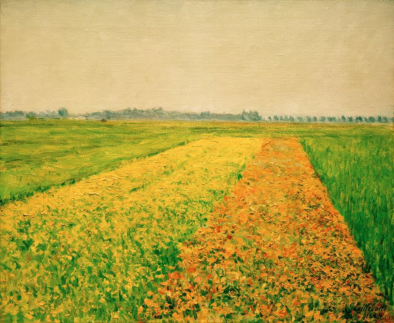 Gennevilliers slätt, gula fält av Gustave Caillebotte