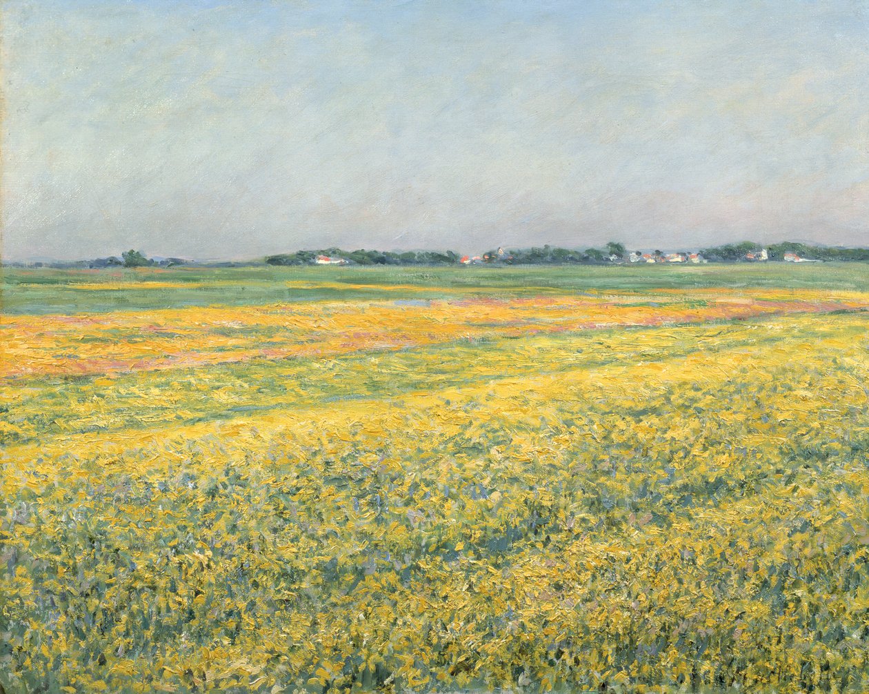 Gennevilliers slätt, gula fält; La plaine de Gennevilliers, champs jaunes, 1884 av Gustave Caillebotte