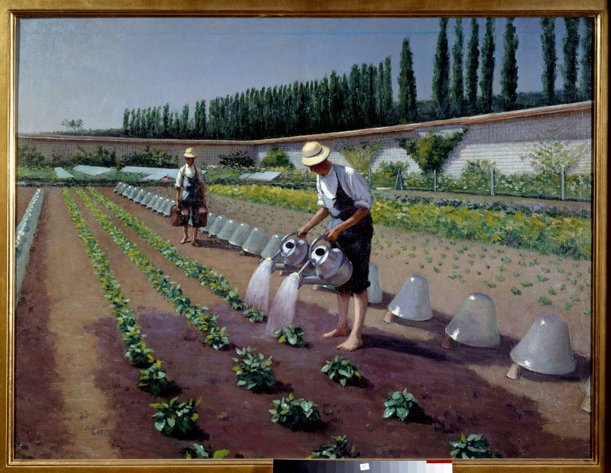Trädgårdsmästarna. Två män med sina vattenkannor bevattnar sin plantage. Nära dem användes glasklockor för att täcka grödor. Målning av Gustave Caillebotte (1848-1894) av Gustave Caillebotte