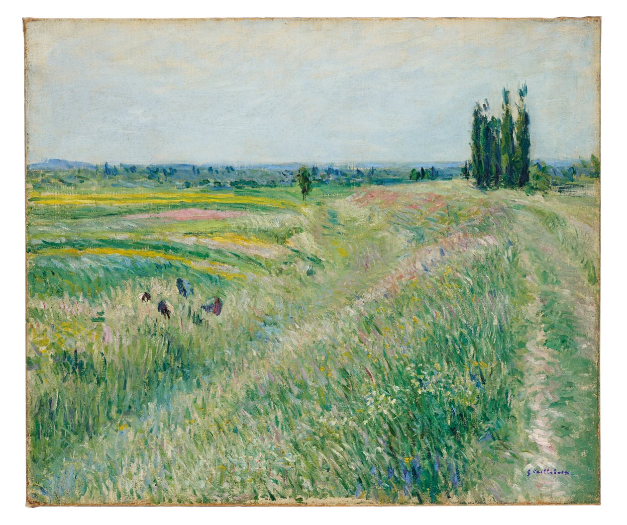 Slätten vid Gennevilliers, grupp av popplar, ca 1883 (olja på duk) av Gustave Caillebotte