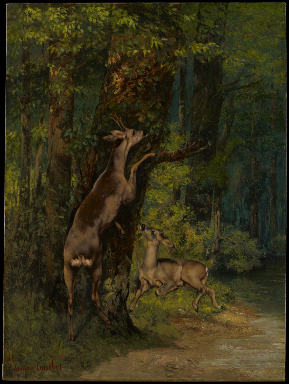 Hjortar i skogen av Gustave Courbet