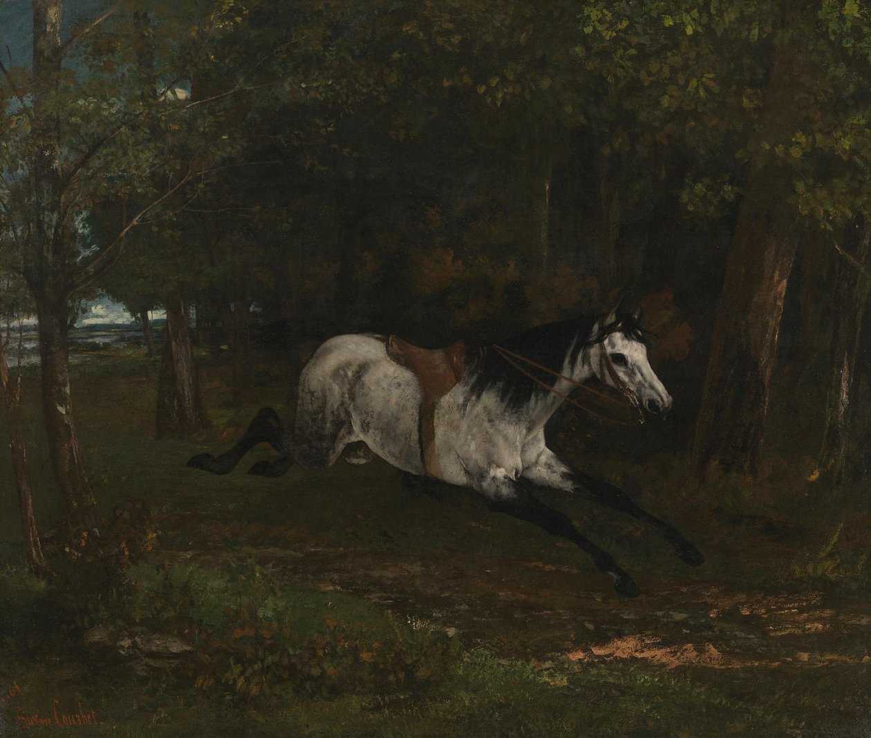 En häst som springer rakt fram av Gustave Courbet