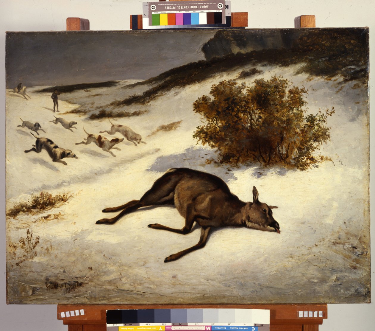 Hind tvingades ner i snön av Gustave Courbet