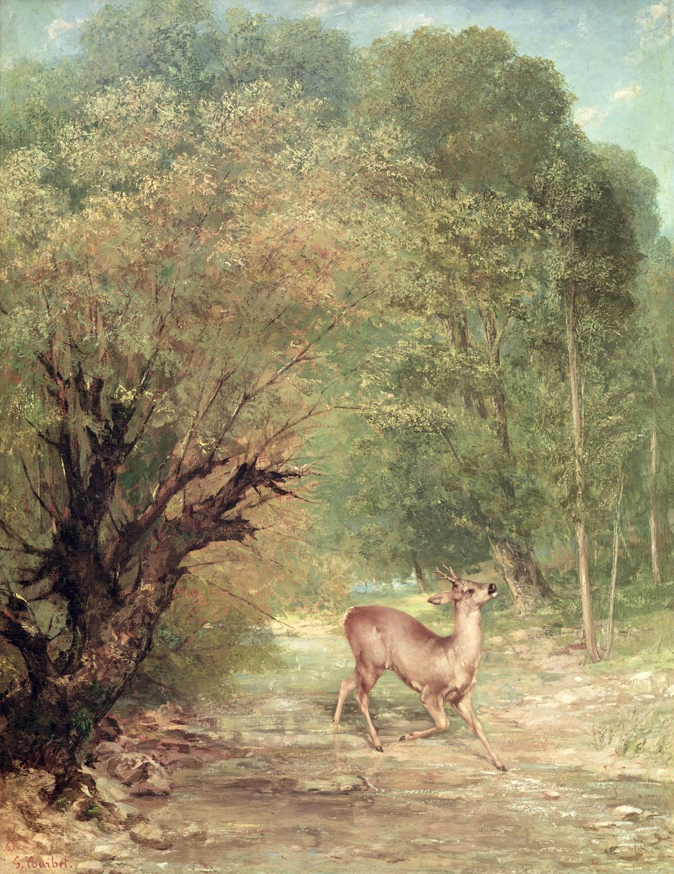 Den jagade rådjuren på beredskap, våren 1867 av Gustave Courbet