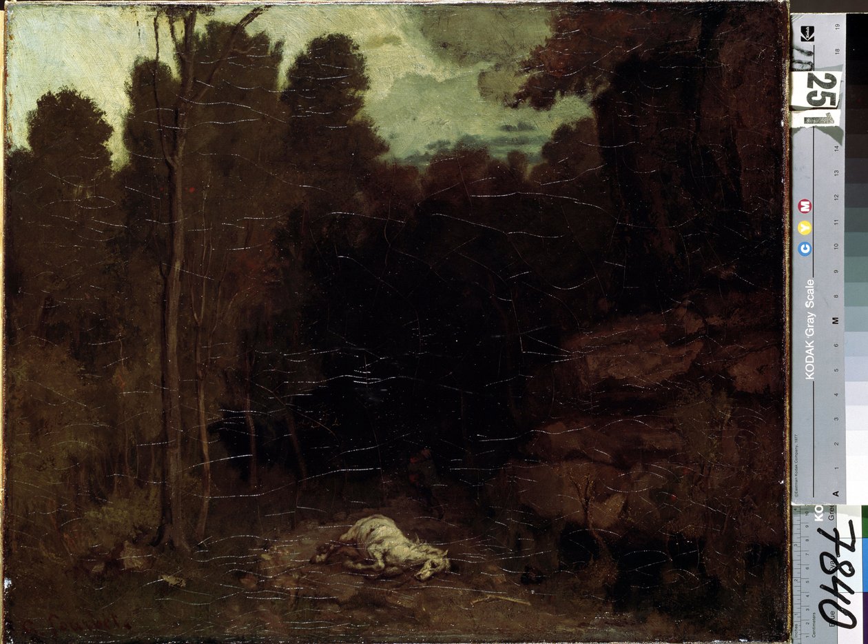 Okänd bild av Gustave Courbet