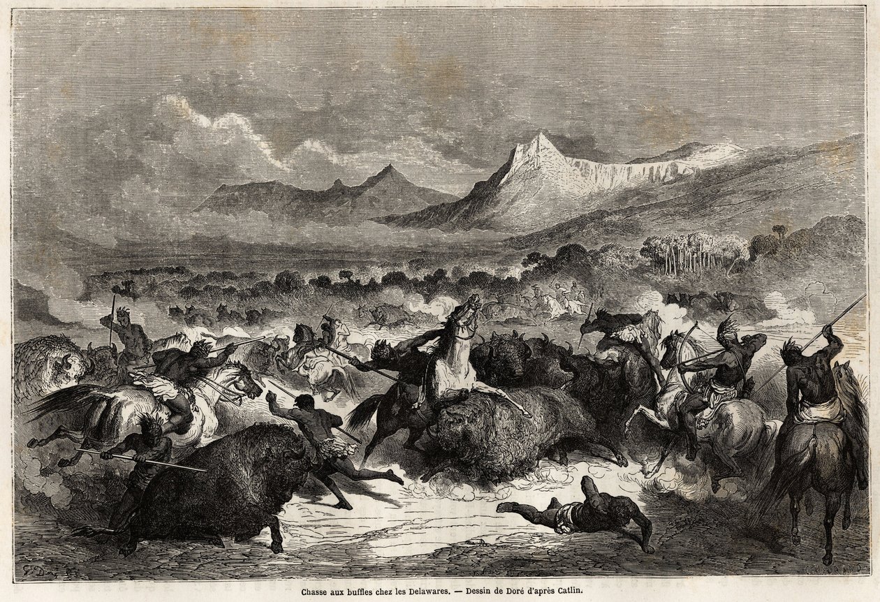 Buffeljakt bland Delawares, indianer som bor på stranden av floden med samma namn, teckning av Gustave dore (1832-1883), för att illustrera Mississippis resa till Stilla havet 1853-54 av Baudouin Mollhausen (1825- 1905). Engravi av Gustave Dore