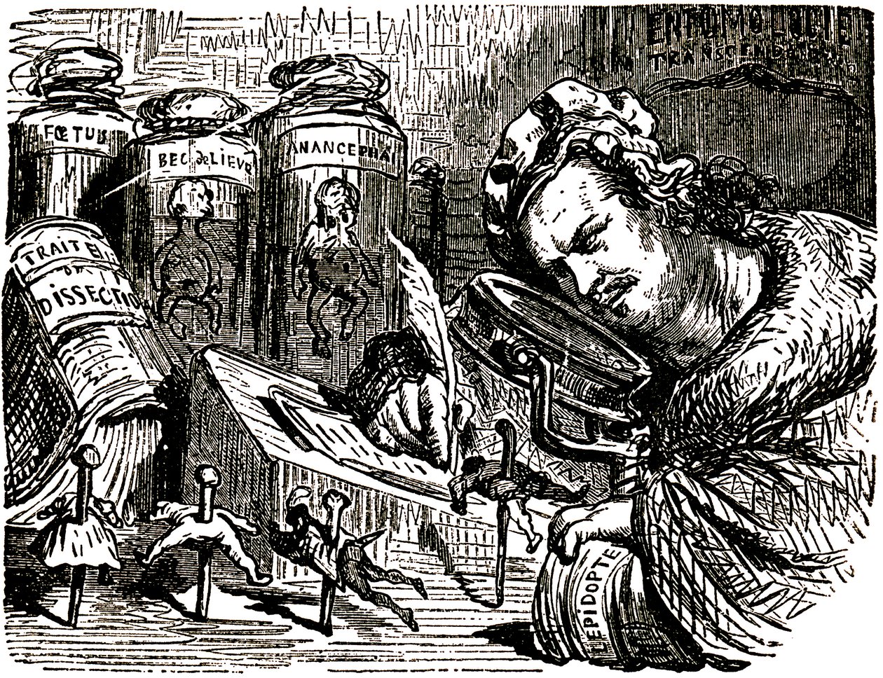Tecknad serie av Honore de Balzac (1799-1850) av Gustave Dore (1832-1883) för Tales Drolatiques (1855): författaren är croque som en enthomolog som studerar människor som insekter i sitt skåp fyllt med enthomologi- och dissektionsutkast samt burkar med av Gustave Dore