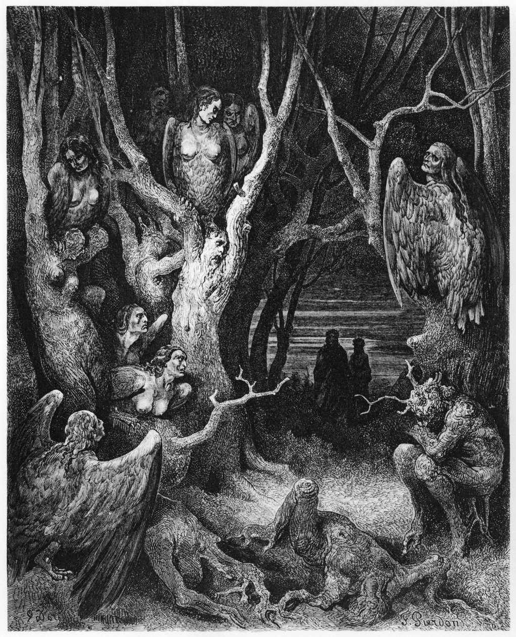 Harpies, illustration ur "Den gudomliga komedin" (Inferno) av Dante Alighieri (1265-1321) Paris, publicerad 1885 av Gustave Dore