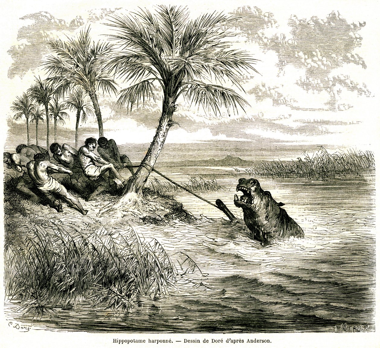 Jakt på floden Teoghe, biflod till Ngami. Flodhästharpun. Gravyr av Gustave Dore som illustrerar "les aventures et chasse du voyageur Charles-Jean Anderson dans l