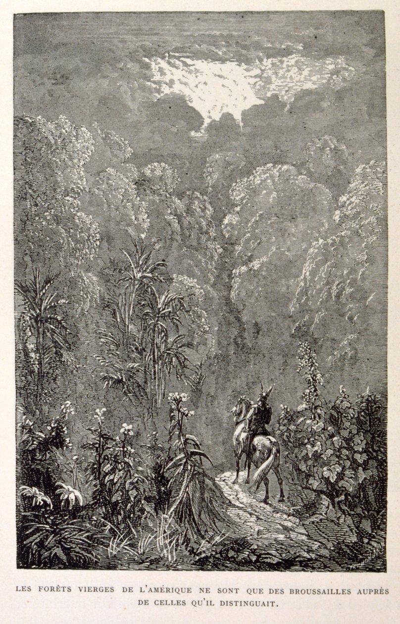 Illustration av amerikansk skog. från La legende de Croque-Mitaine. av Gustave Dore