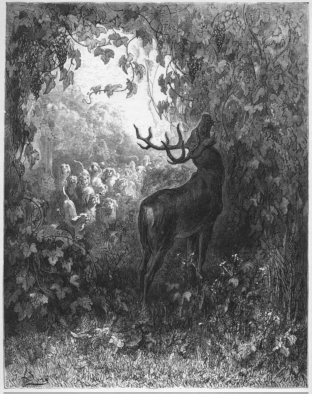 THE DEER AND THE VINE - The deer and the vine - från "Fables" av Jean de La Fontaine av Gustave Dore
