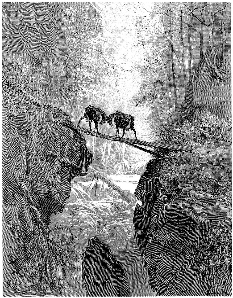 Les deux chevres: fabel av Jean de la Fontaine illustrerad av Gustave Dore - skog, bäck, bäck - av Gustave Dore