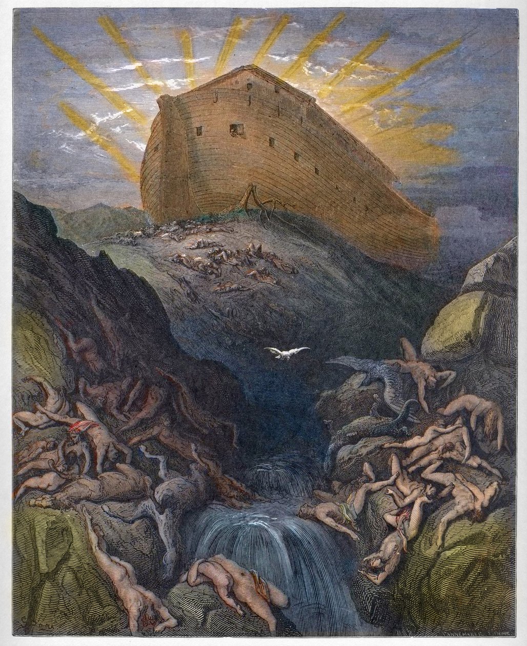 Noaks ark - Duvan skickad ut från arken - Duvan skickad från arken av Noe - Gravyr från "" The Bible illustree" av Gustave Dore (1832-1883) - Gravyr från "" The Dore Bible" av Gustave Dore