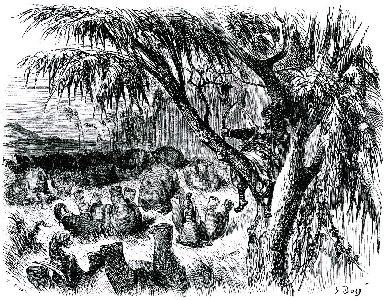 Sindbad sjöfararen (Sinbad) - berättelsen om de tusen och en (1001) nätterna - illustration av Gustave Dore - edition Maxwell 1865 - Sjunde resan: Sindbad, sittande i ett träd, drar med sin båge på elefanter av Gustave Dore
