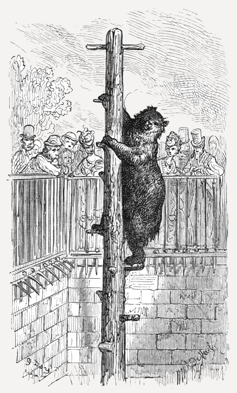 "Björngropen - Zoologiska trädgårdar", 1872. av Gustave Dore