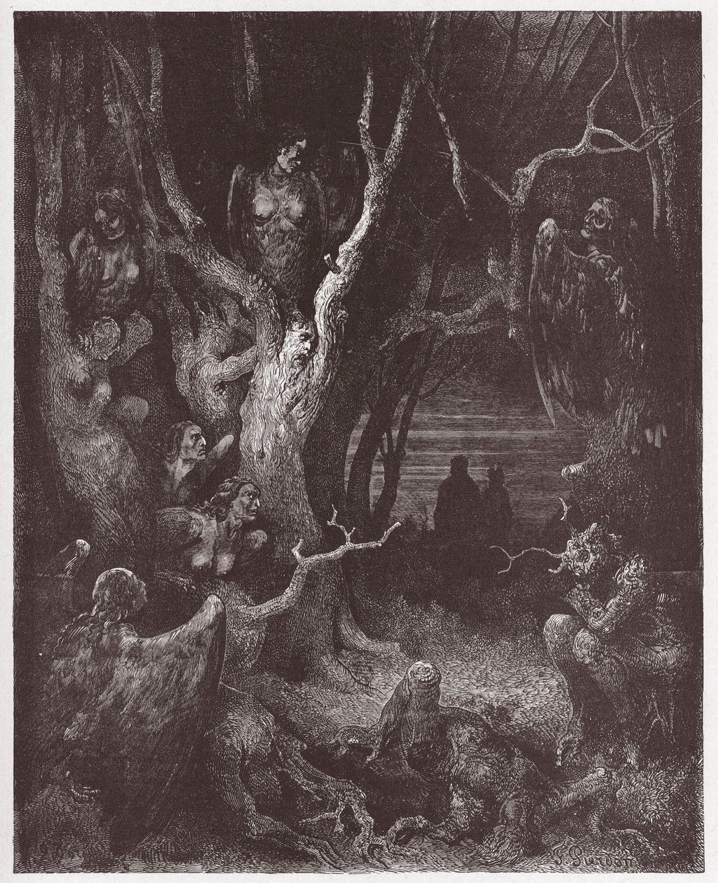 Den gudomliga komedin (La Divina Commedia, La Divine Comedie), Inferno, Canto 13: Harpierna i självmordsskogen - av Dante Alighieri (1265-1321) - Illustration av Gustave Dore (1832-1883) av Gustave Dore