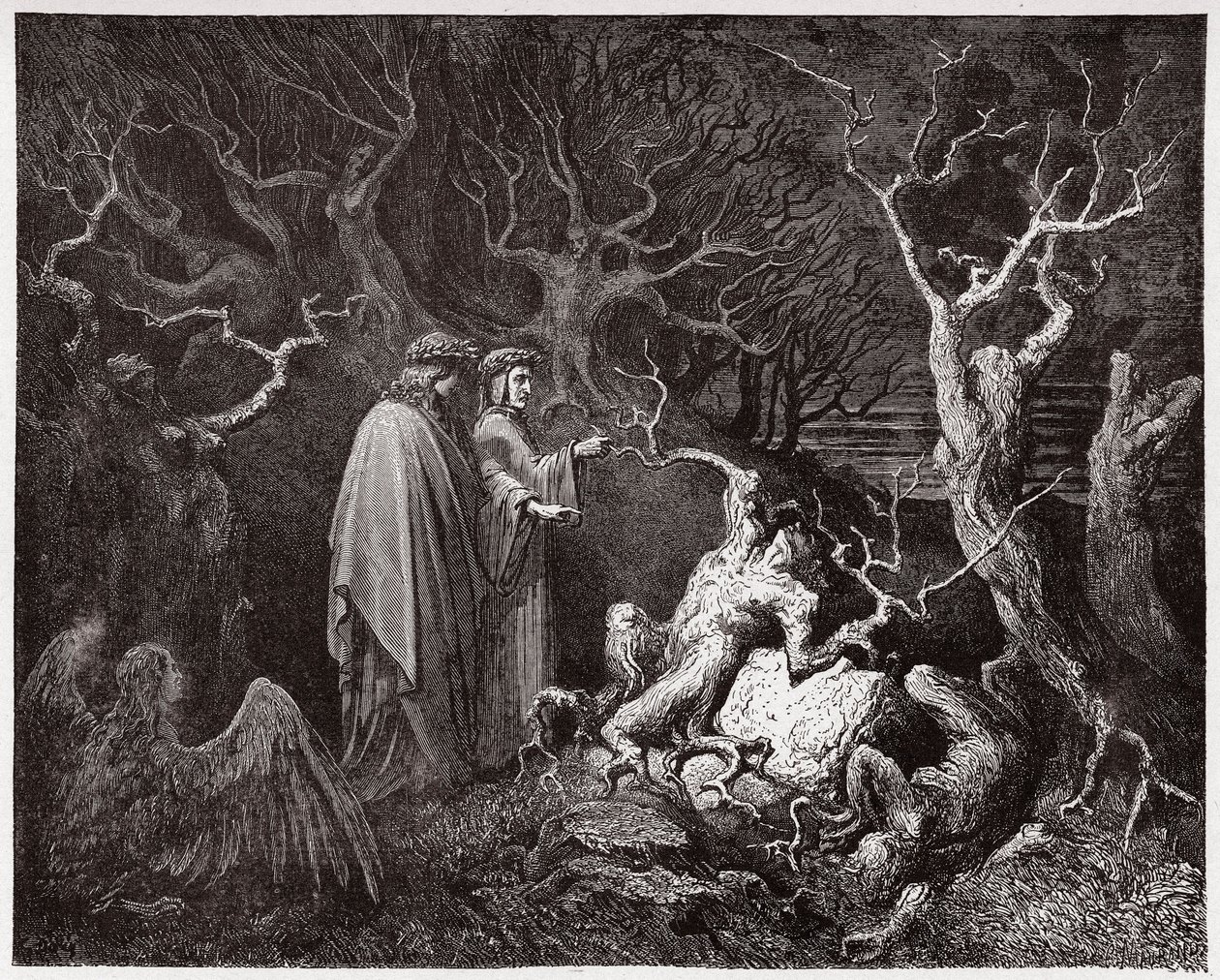 Den gudomliga komedin (La Divina Commedia, La Divine Comedie), Inferno, Canto 13: Självmorden i skogen - av Dante Alighieri (1265-1321) - Illustration av Gustave Dore (1832-1883) av Gustave Dore