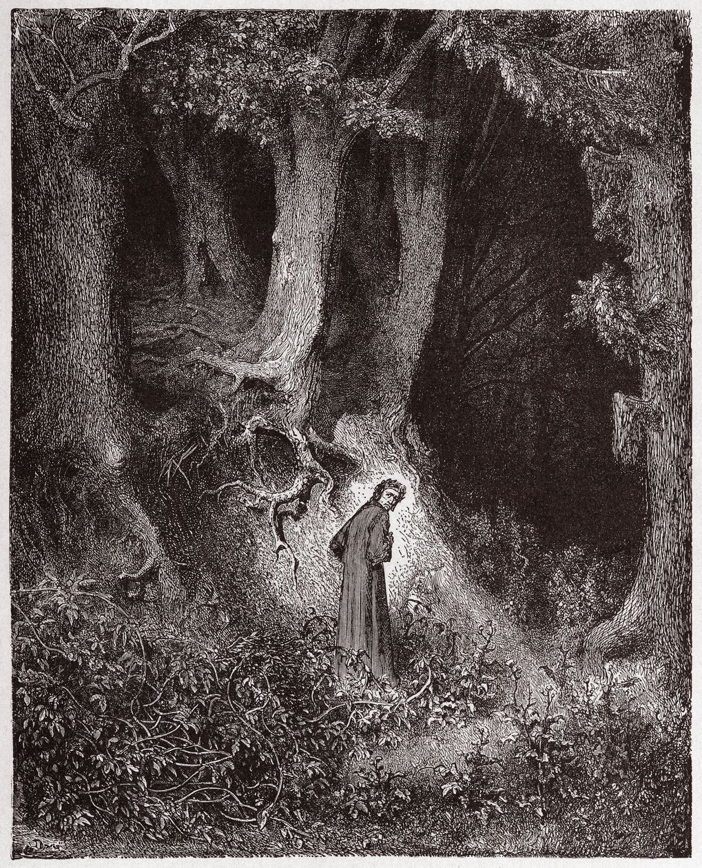 Den gudomliga komedin (La Divina Commedia, La Divine Comedie), Inferno, Canto 1: Dante i den vilda skogen - av Dante Alighieri (1265-1321) - Illustration av Gustave Dore (1832-1883) av Gustave Dore