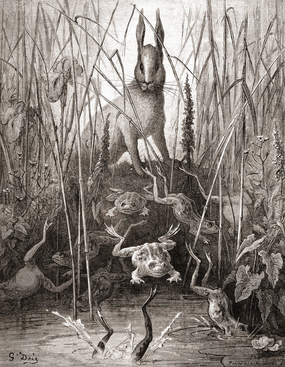Haren och grodorna, från en utgåva från slutet av 1800-talet av Fables de La Fontaine (trästick) av Gustave Dore