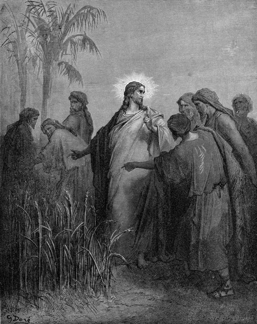 Lärjungarna plockar korn på sabbaten av Gustave Dore