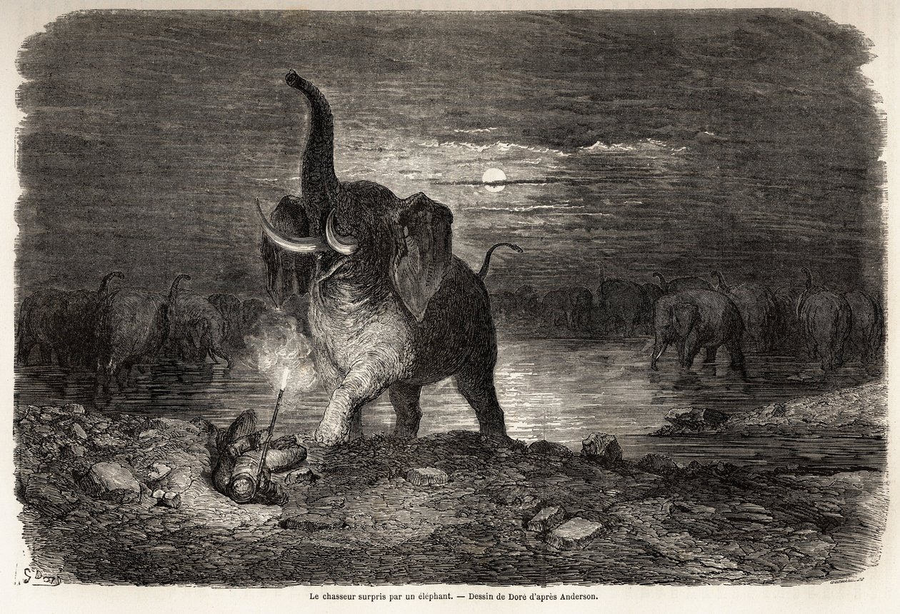 Jägaren överraskad av en elefant, nära sjön Ngami (Botswana), teckning av Gustave dore (1832-1883), för att illustrera Charles Jean Andersons äventyr och jakter i södra Afrika. Gravyr i "" Le tour du monde, nouveau journal des voyages"" Paris av Gustave Dore