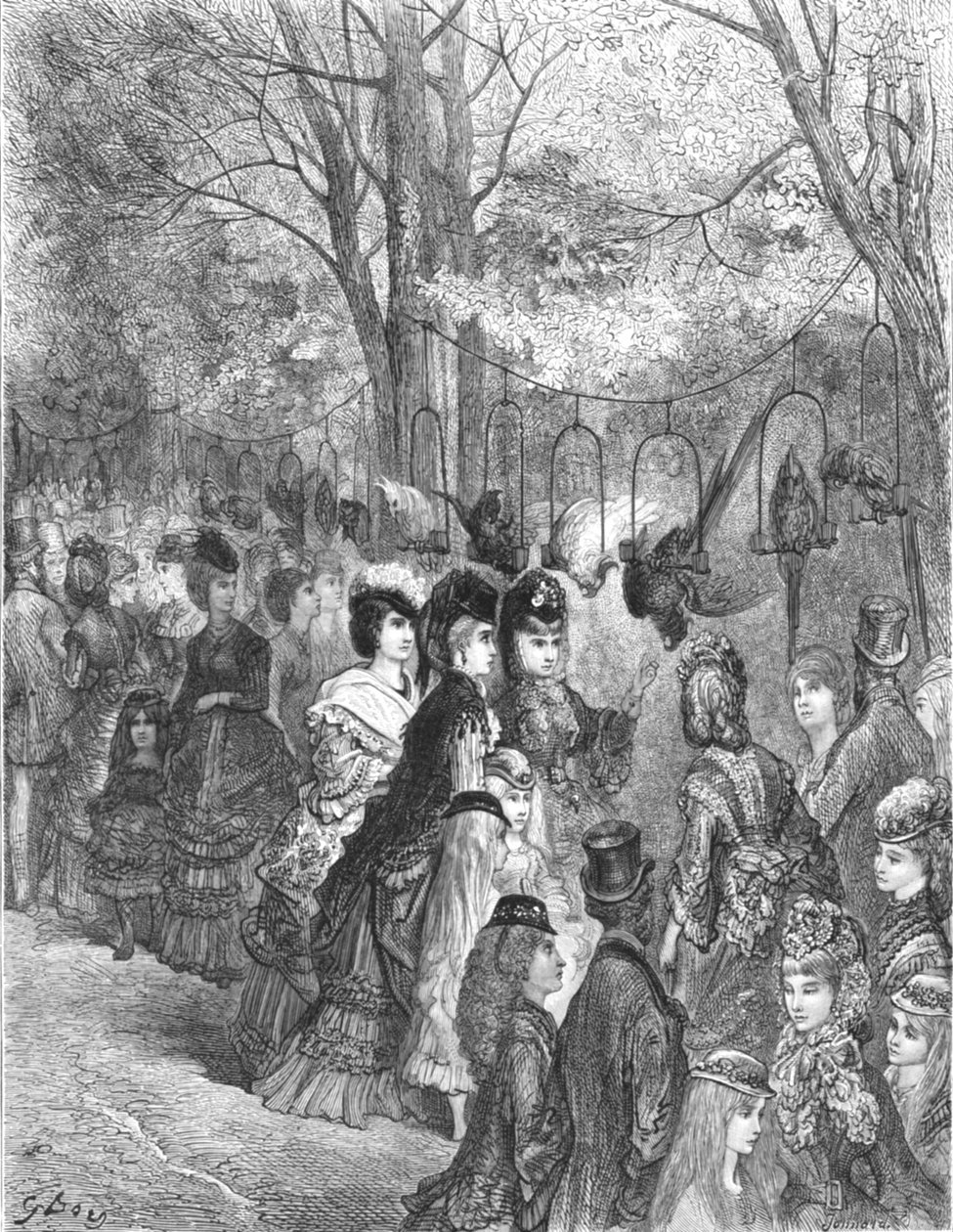 "Zoological Gardens - The Parrot Walk", 1872. av Gustave Dore