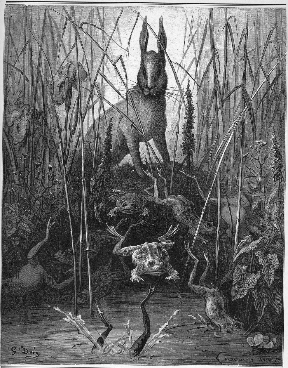 haren och grodan - Hararna och grodorna - från "Fables" av Jean de La Fontaine av Gustave Dore