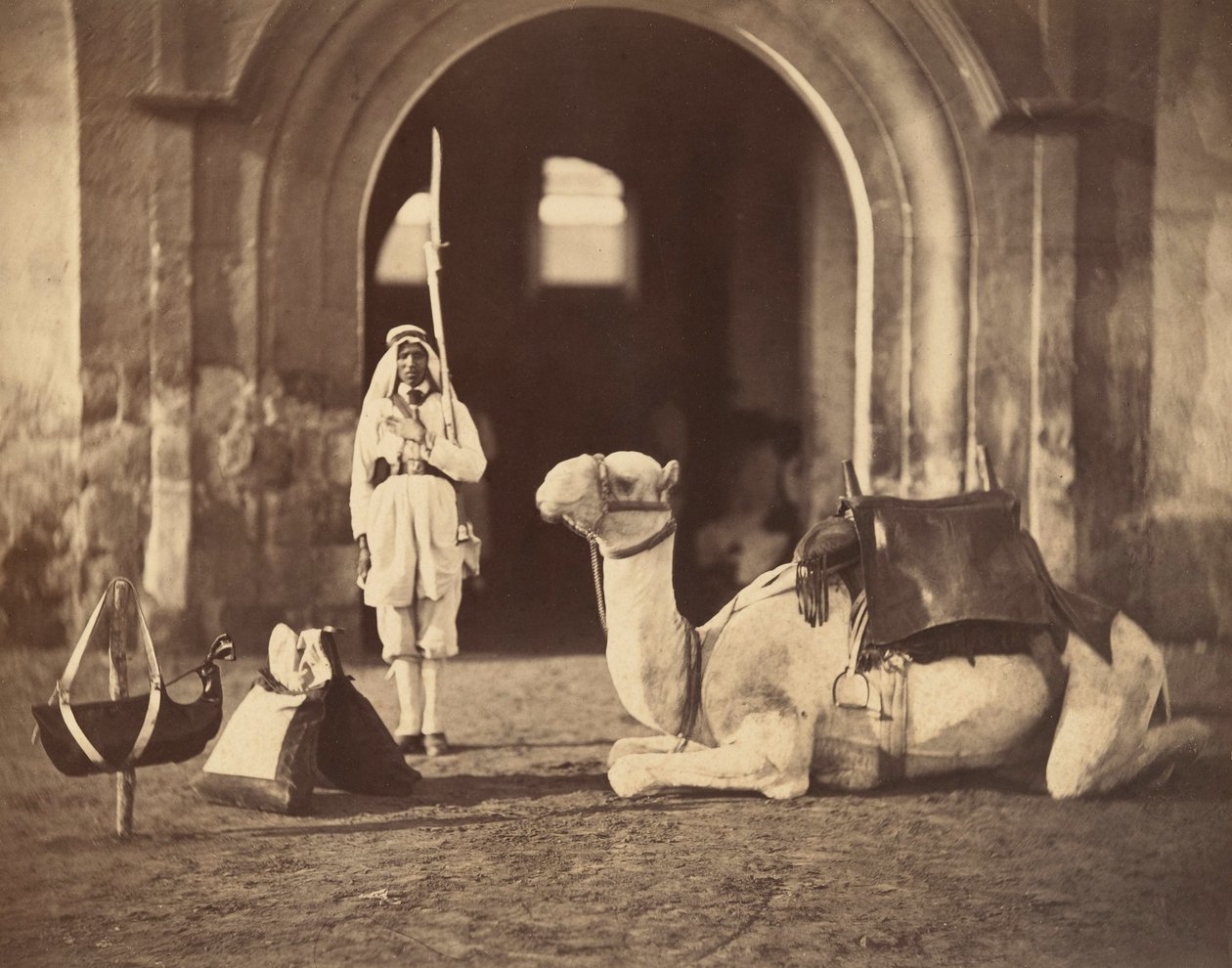 Kamel liggande, ca 1866 (fotogravyr) av Gustave Le Gray