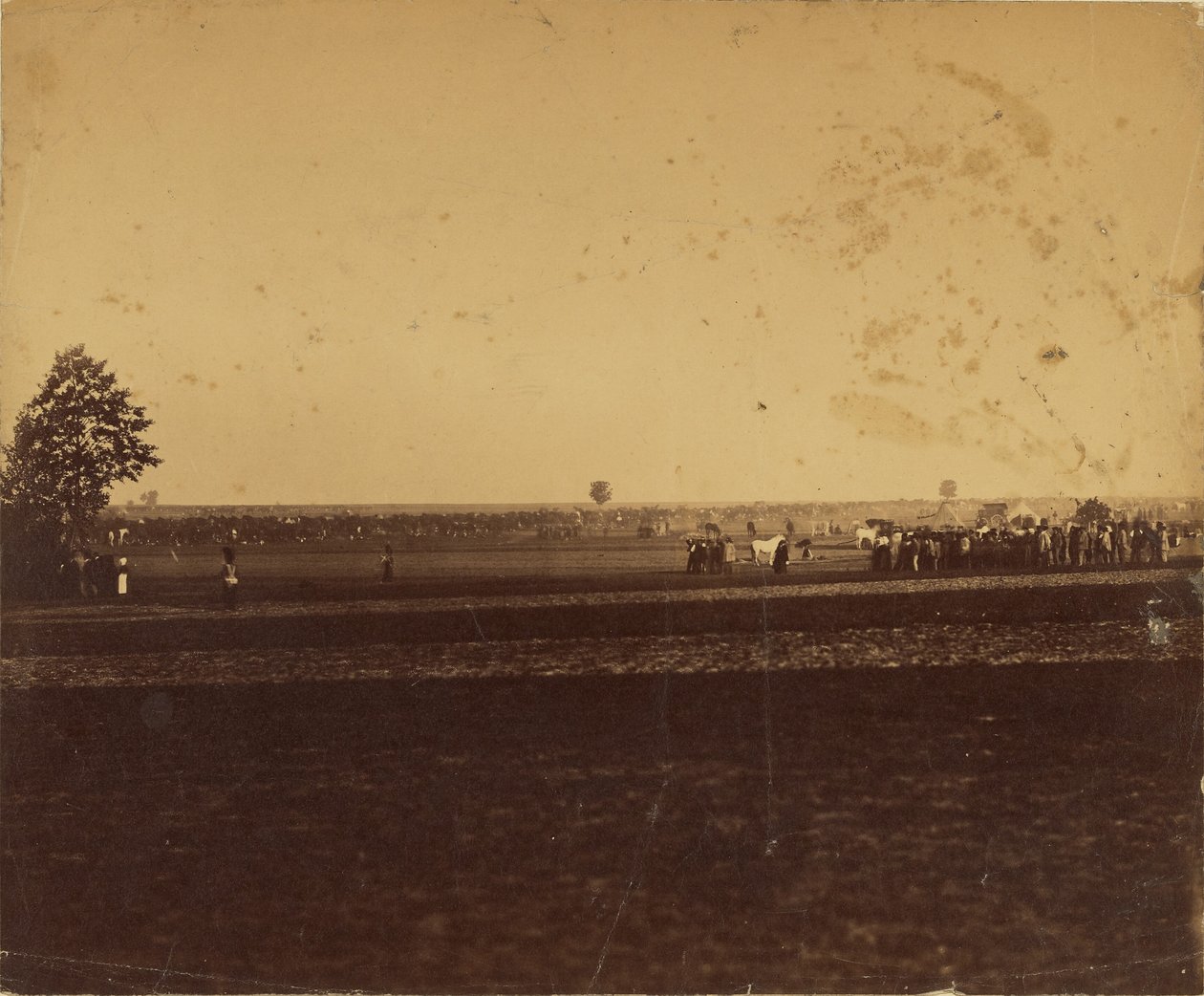 [Camp de Chalons] av Gustave Le Gray