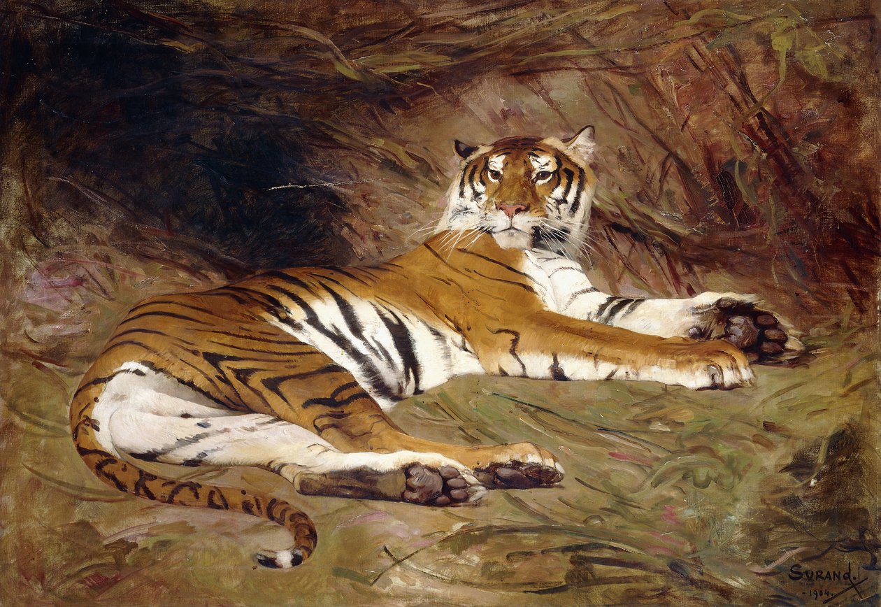 En liggande tiger av Gustave Surand