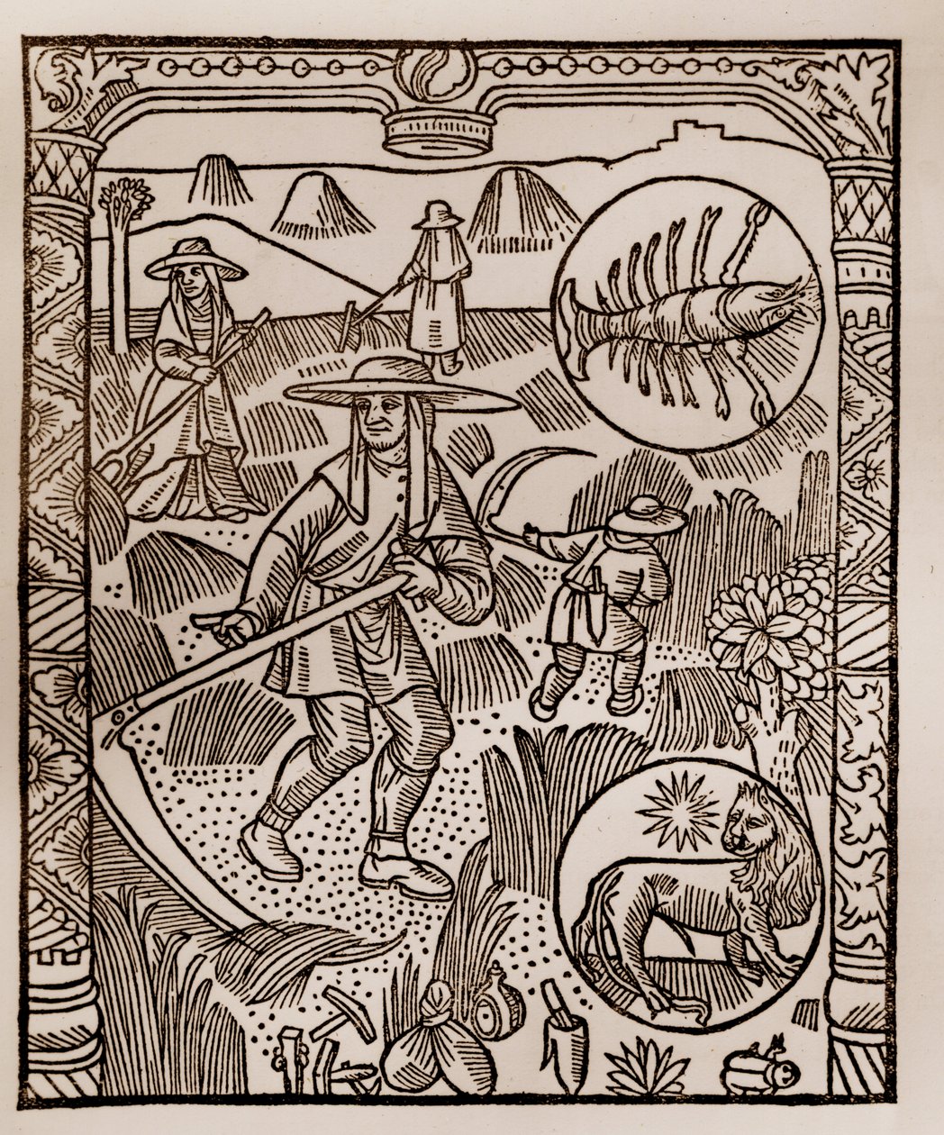 Herdekalender - Månadernas arbete - Juli - Träsnitt från boken från 1496 tryckt av Guy Marchant (Guido Mercator) i Troyes - Hay, la coupe des hay - Gravyr sur bois i "" Le grand Calendrier et compost des shepherds"" - av Guy Marchant