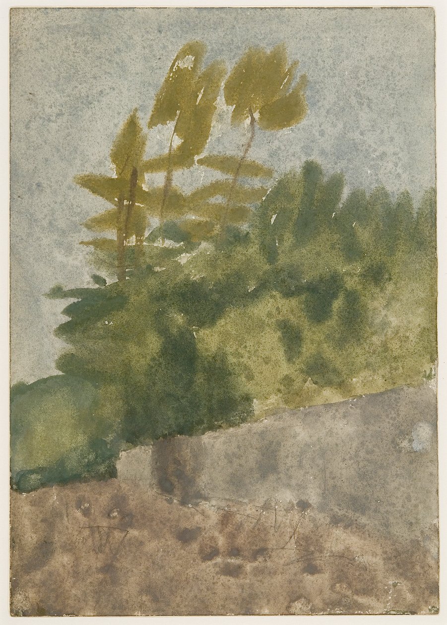 Träd (akvarell, gouache och blyerts på papper) av Gwen John
