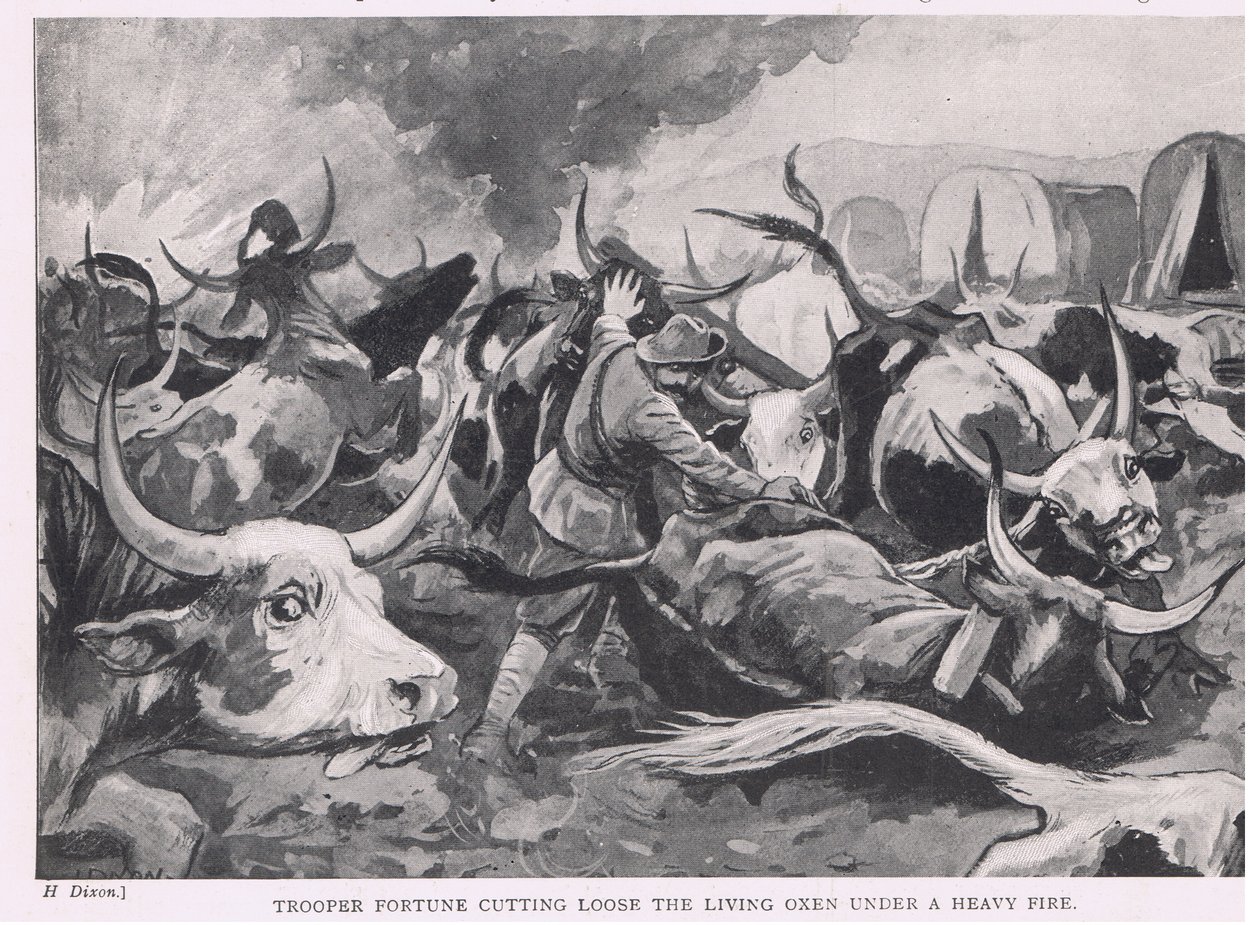 Soldat Fortune som under kraftig eldgivning skär loss de levande oxarna. av H. Dixon
