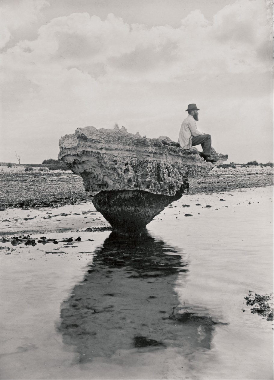 Korsettrock av H. H. Tilbrook