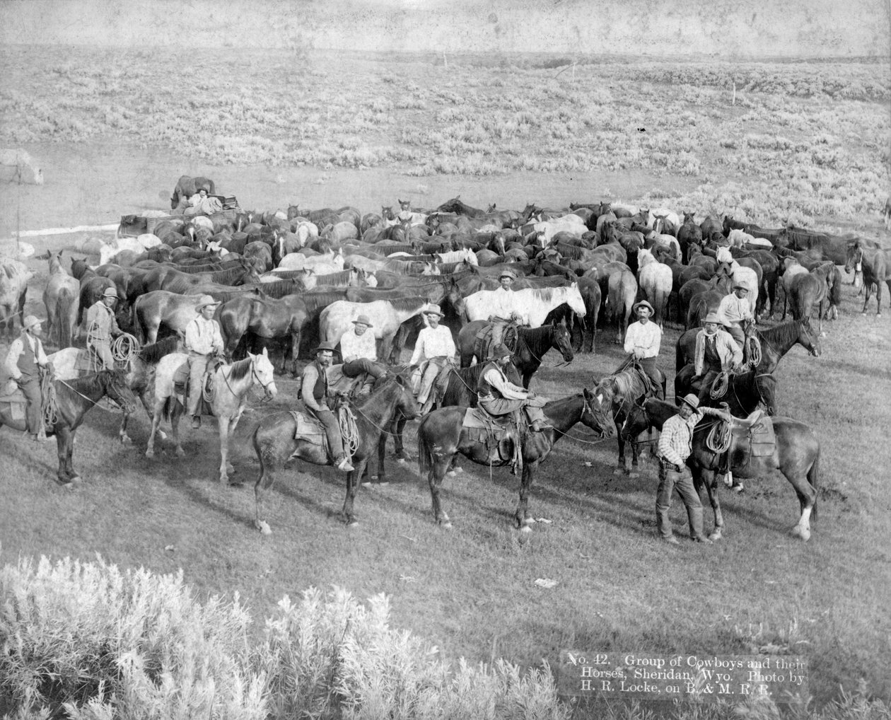 Grupp av cowboys och deras hästar, Sheridan, Wyoming, ca 1890 av H. R. Locke