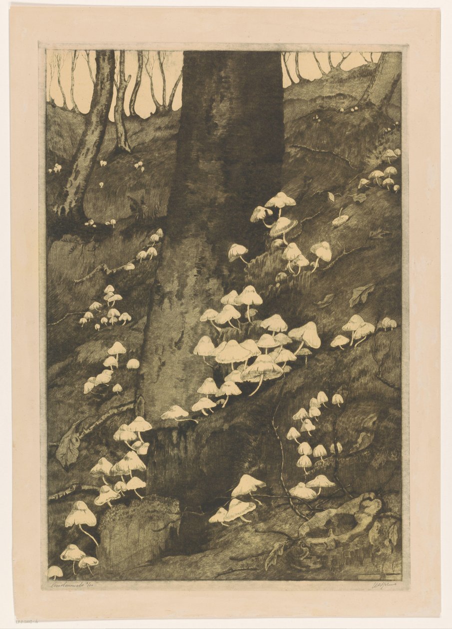 Svamp i en skog Höst (originaltitel) av H.C. Spruit (signed by artist)