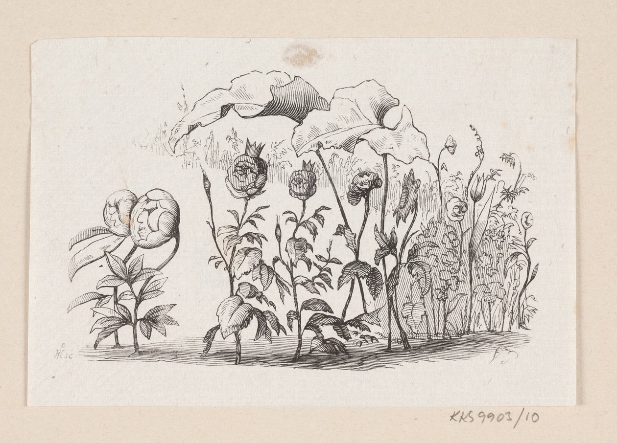 Illustration till "Den lille Idas Blomster" i H.C. Andersen, "Sagor och berättelser", volym 1 av H.P. Hansen