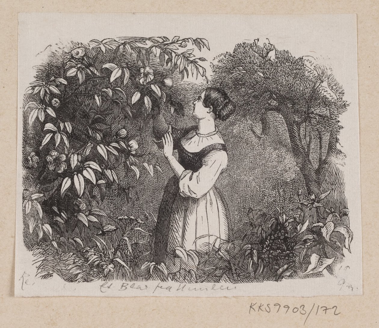Illustration till "A Leaf from Heaven" i H.C. Andersen, "Sagor och berättelser", volym 2 av H.P. Hansen