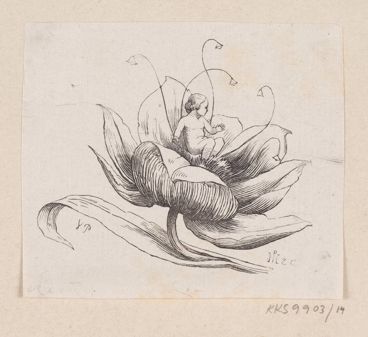 Illustration till "Tommelise" i H.C. Andersen, "Sagor och berättelser", volym 1 av H.P. Hansen