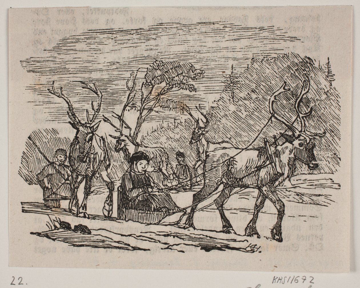 Slädetur med renar av H. C. Henneberg