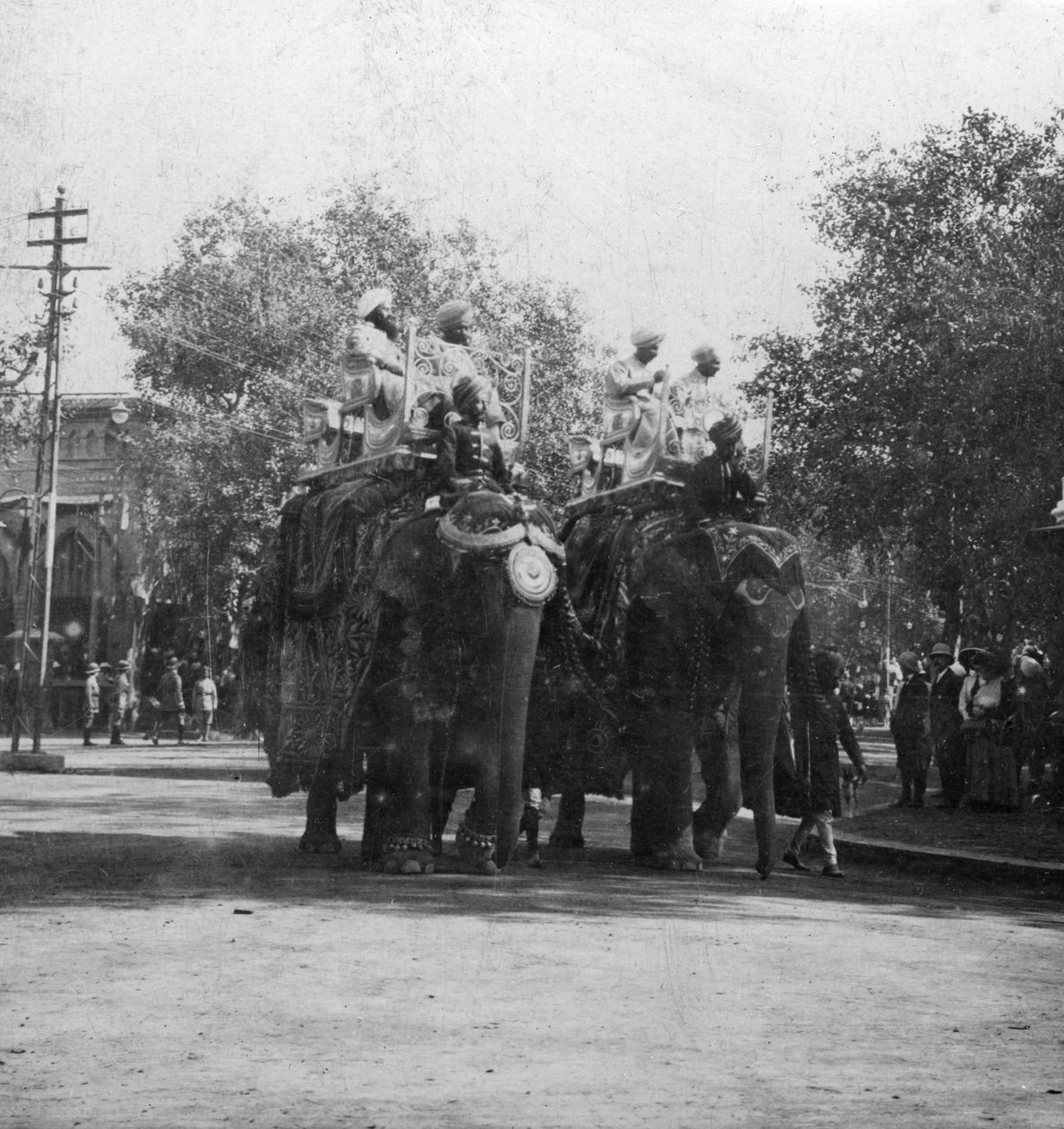En punjabiprinsessa som rider på en elefant i en procession, Delhi, Indien, 1900-talet. av H. Hands and Son