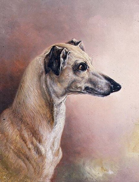 Hoved af en Greyhound (panel)svenske av H. Morley Park