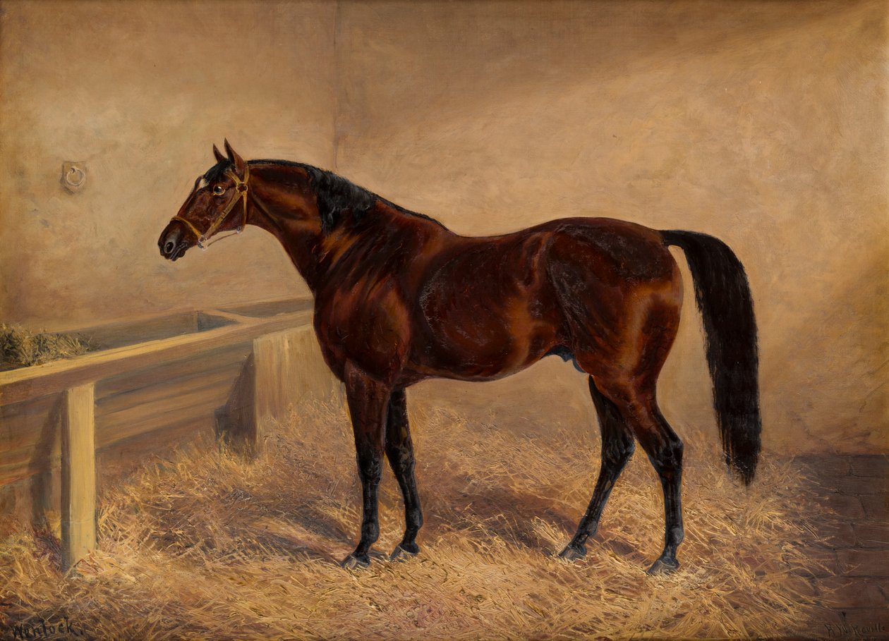 Wenlock: A Bay Racehorse, i en lös låda, ca 1881-1903 (olja på duk) av H. Whittaker Reville