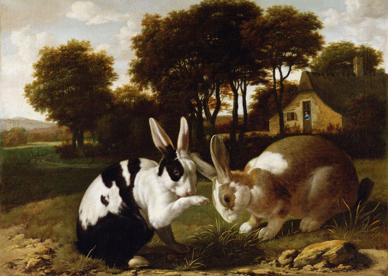 Två kaniner i ett landskap, ca 1650 av Haarlem School
