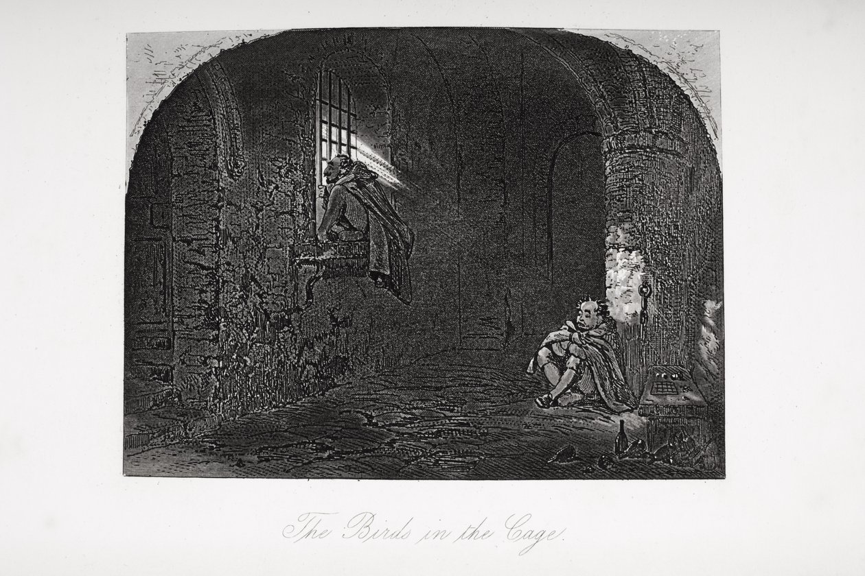 The Birds in the Cage, illustration från "Little Dorrit" av Charles Dickens (1812-70) publicerad första gången 1857 av Hablot Knight Browne