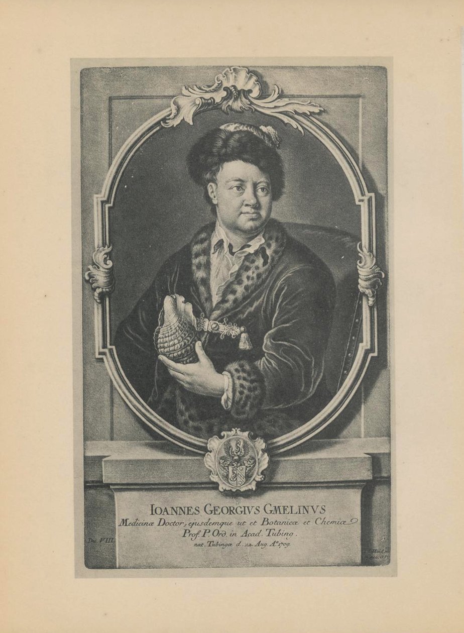 Porträtt av naturforskaren, botanikern och geografen Johann Georg Gmelin 1709-1755, mitten av 1700-talet. av Haid